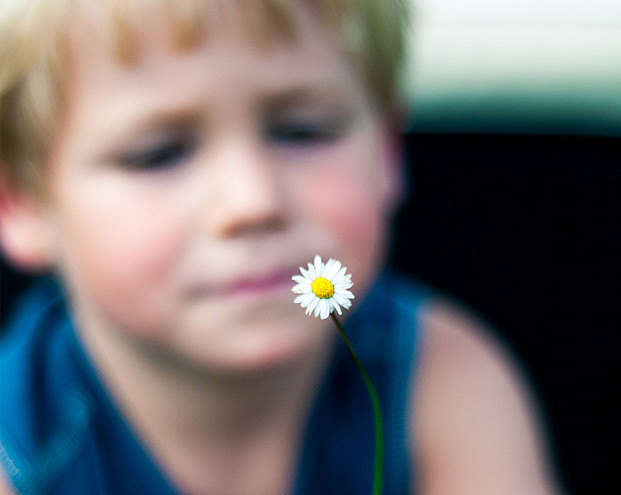 Blume im Vordergrund, im Hintergrund das Gesicht eines Jungen